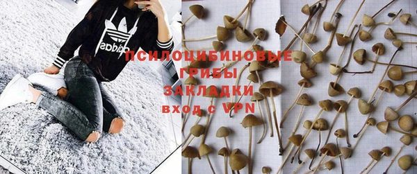 бошки Елизово